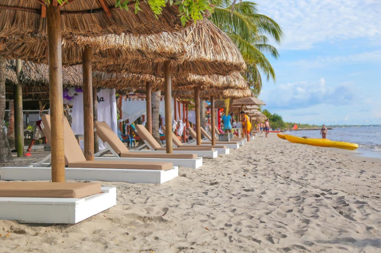 Hotel Camino Verde Толу Экстерьер фото